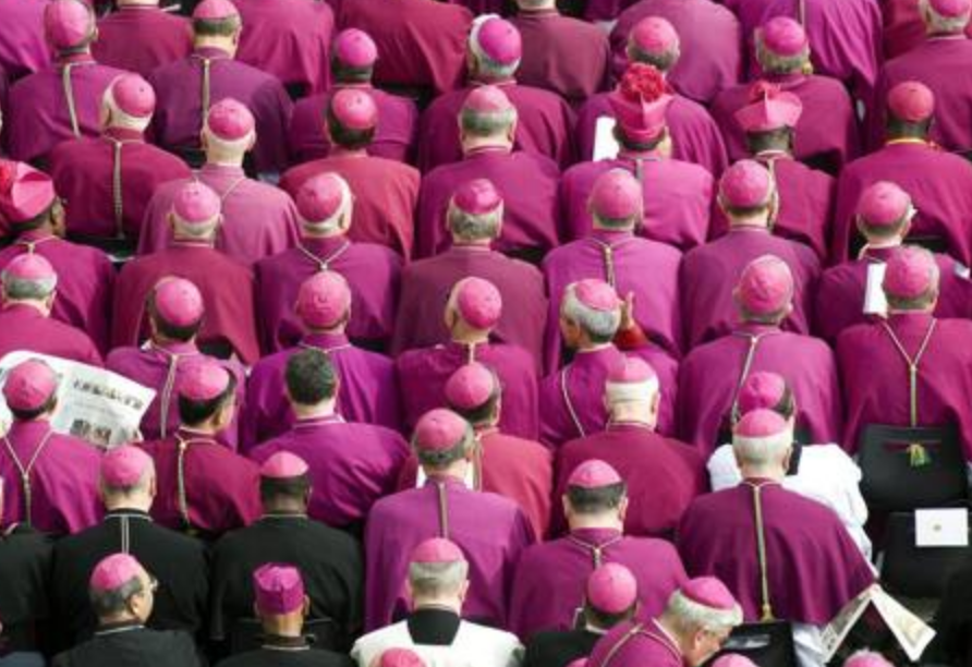 Ddl Zan. Ricordiamo i vescovi italiani che hanno detto NO alla legge liberticida 1